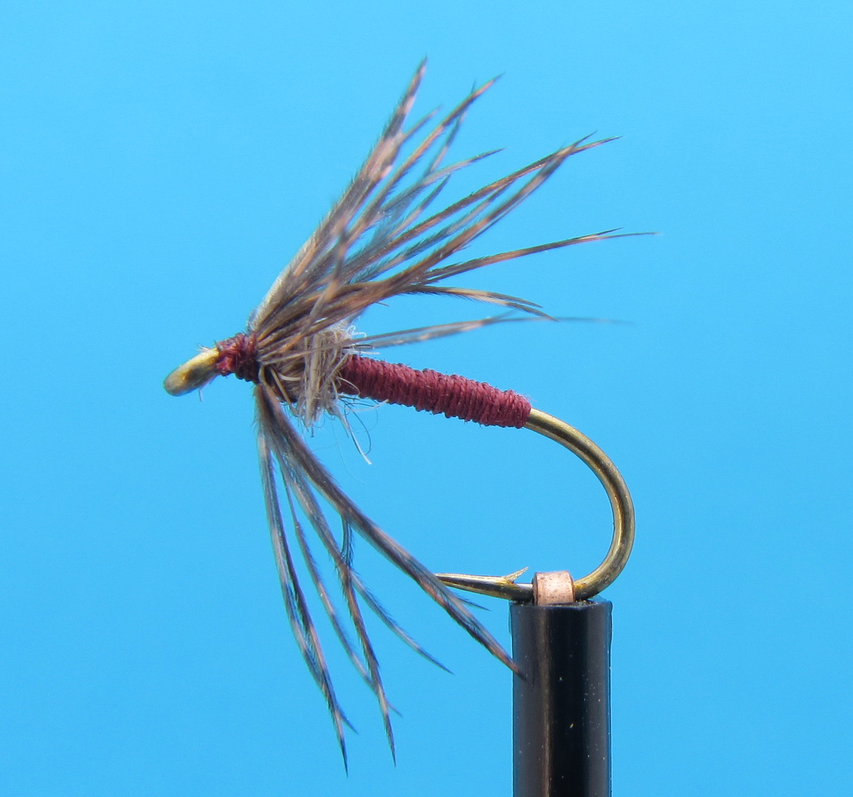 Alexandra Wet Fishing Fly (Size 14)