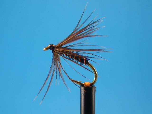 Black Caddis Spider