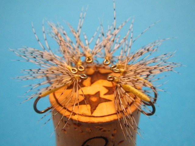 Partridge and Light Cahills