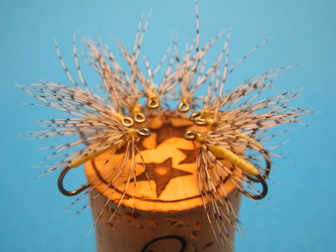 Partridge and Light Cahills