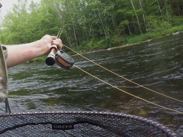 DCIM100GOPROG0010813.