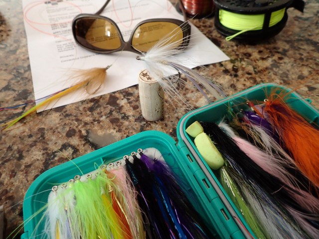 Block Island All-Nighter Flies Big Eelies