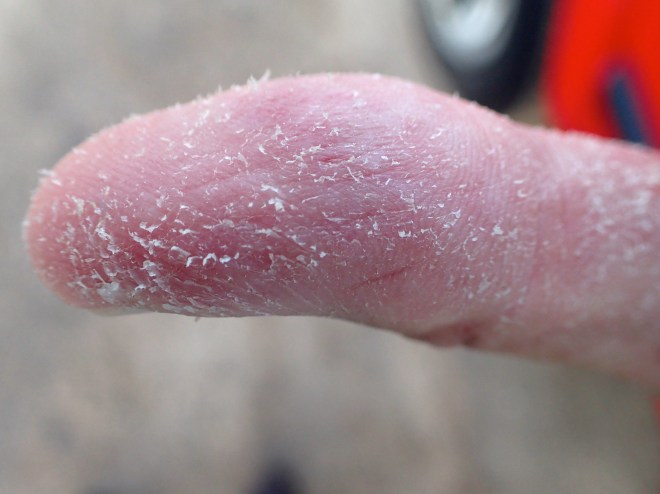 Block Island All-Nighter striper thumb