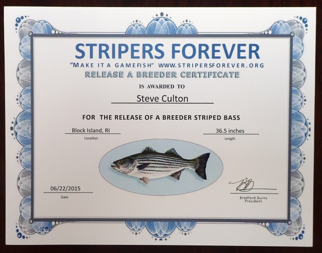 Stripers Forever Release A Breeder Club