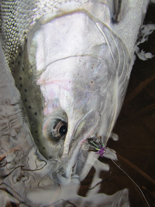 Fresh Chrome, November 2014