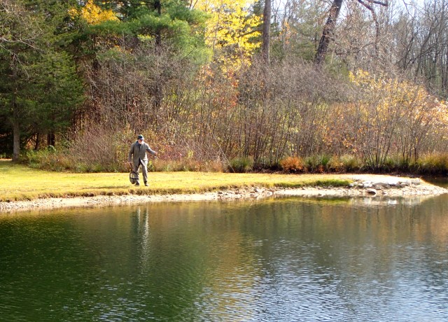 Limestone trout battle