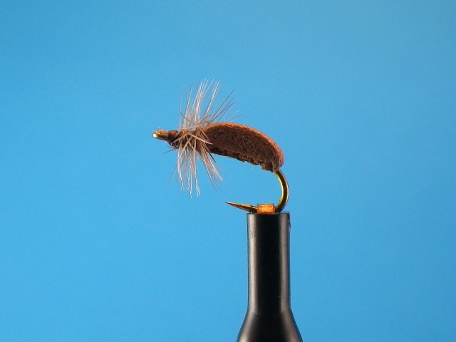 Culton_Winter_WSCaddis