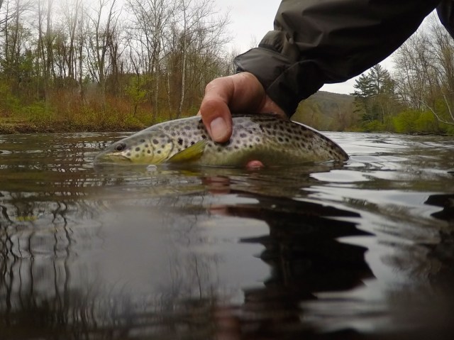 DCIM100GOPROG0022455.