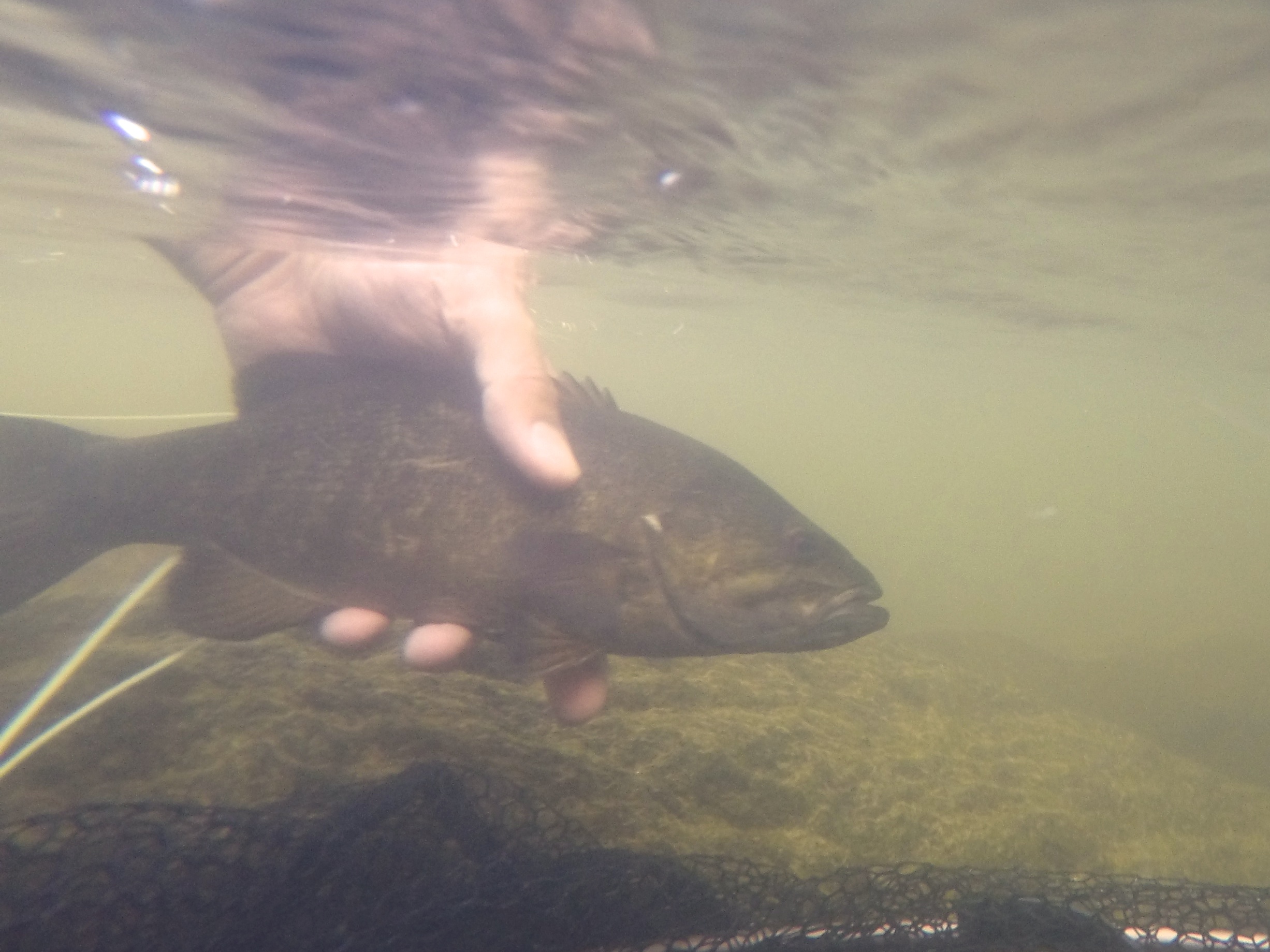 DCIM100GOPROG0033536.