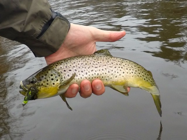 DCIM100GOPROG0013600.