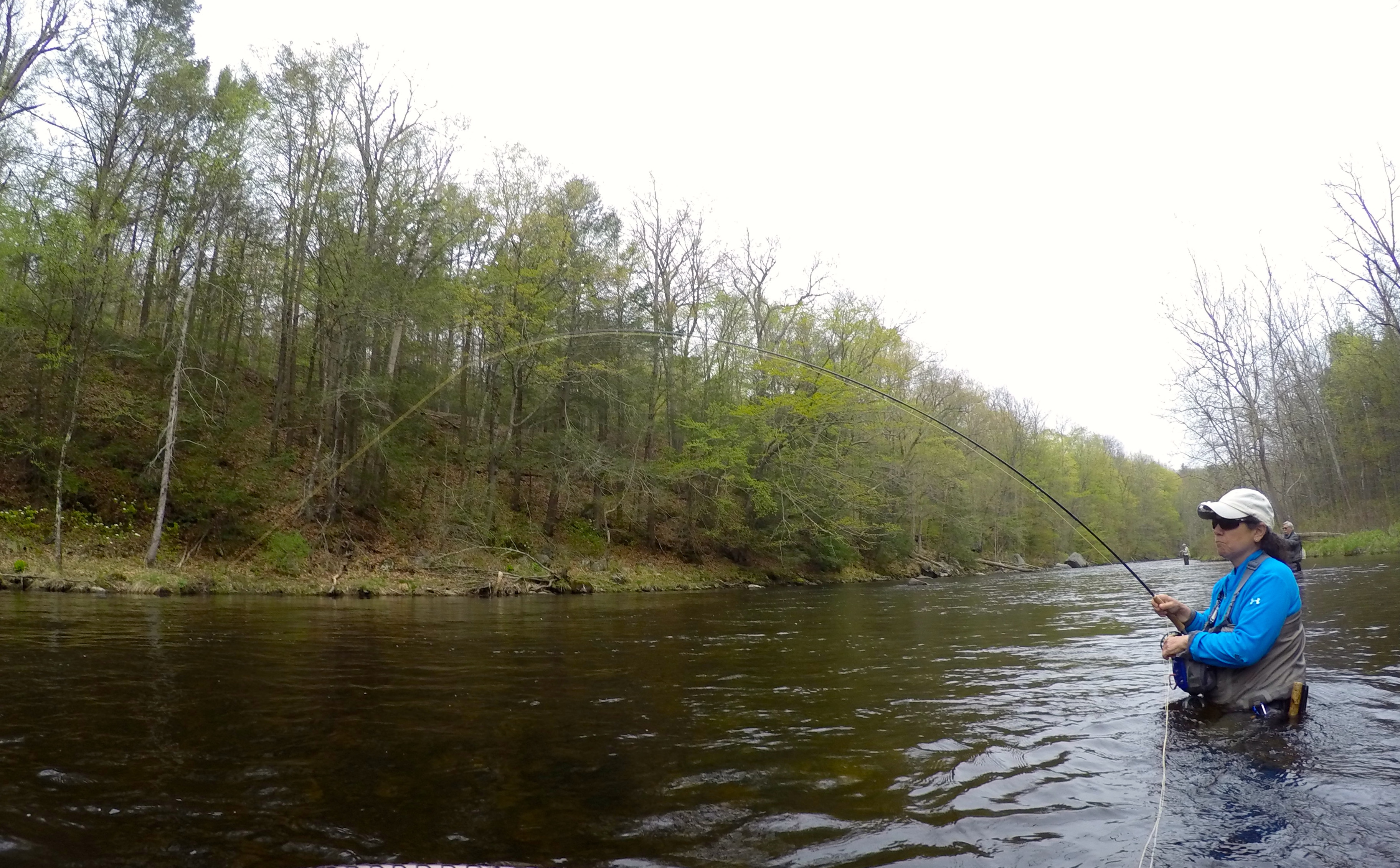 DCIM100GOPROG0033987.