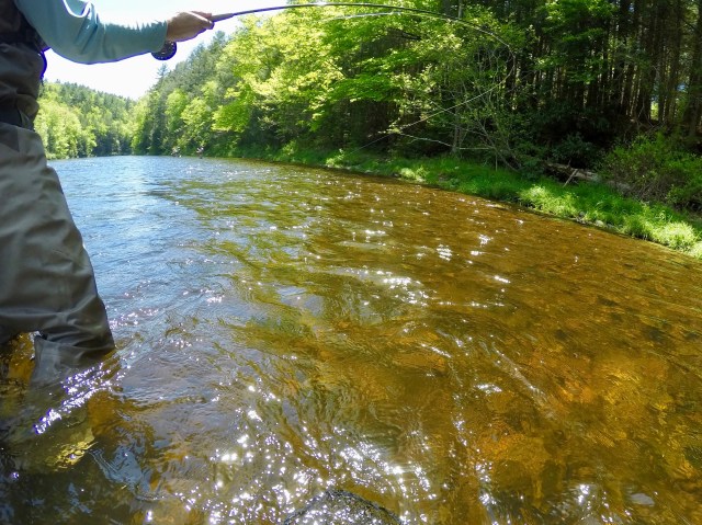 DCIM100GOPROG0015048.