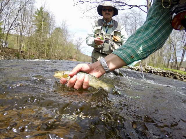 DCIM100GOPROG0034989.