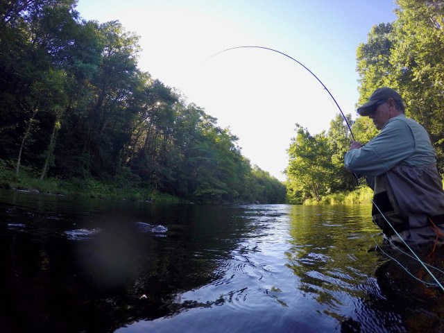 DCIM100GOPROG0015823.