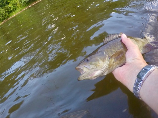 DCIM100GOPROG0042757.