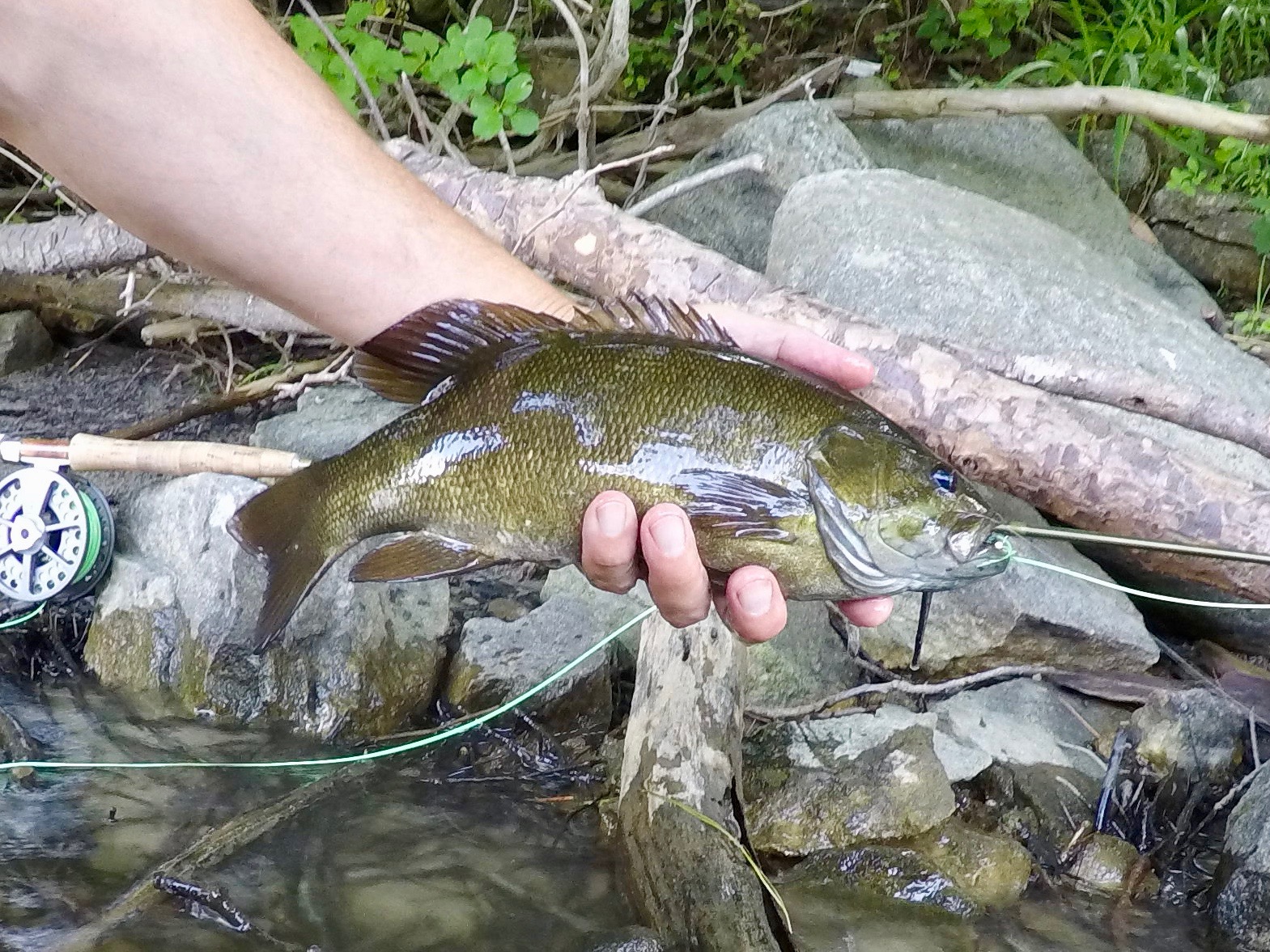 DCIM100GOPROG0012917.