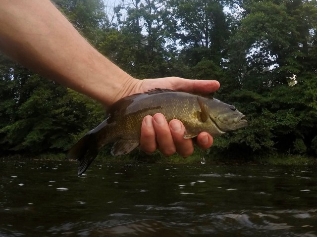 DCIM100GOPROG0012939.