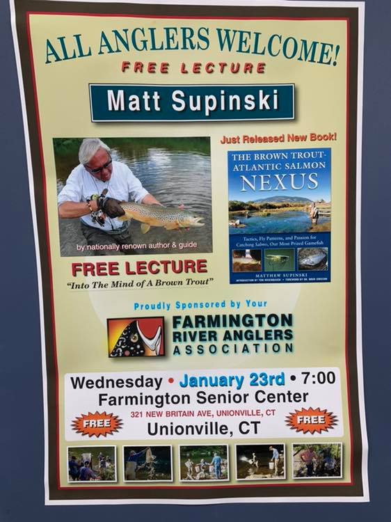 50686014_2126308930760985_4616396236046467072_n