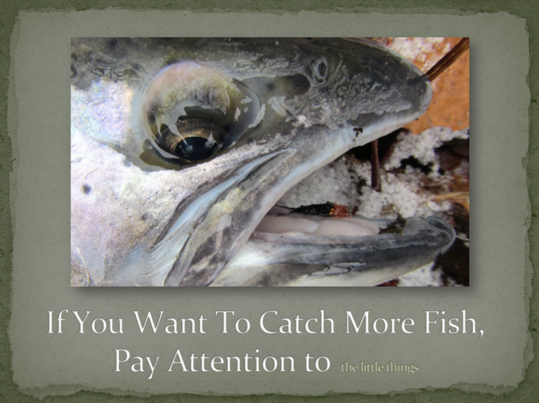 Screen Shot 2019-03-05 at 1.08.45 PM