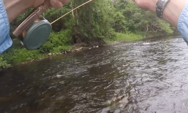 Screen Shot 2019-10-18 at 11.28.06 AM