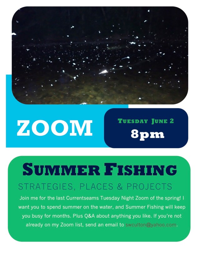 Summer_Fishing_Poster