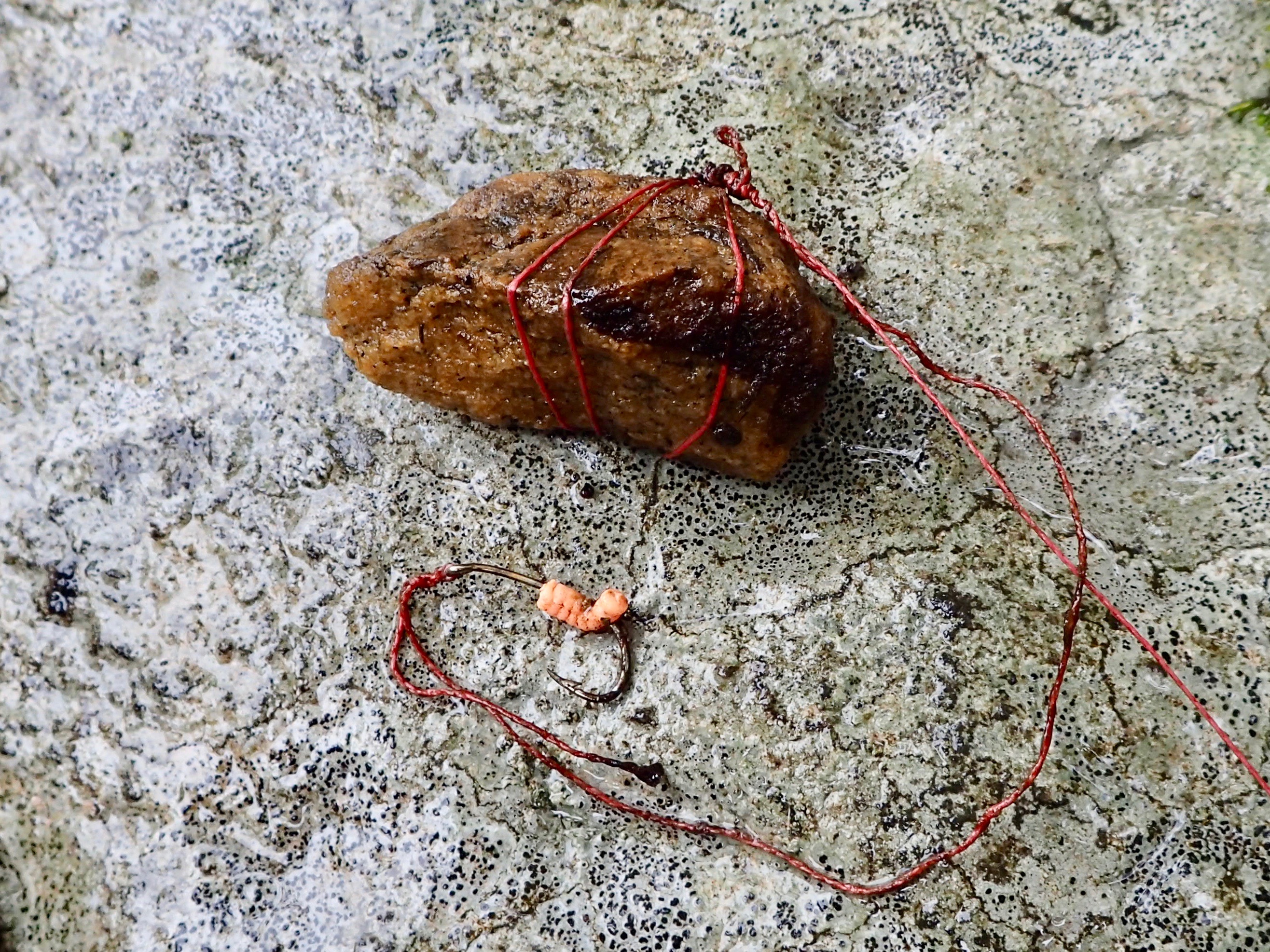 Farmington River Report 10/2/20: A great day for olives « currentseams.com