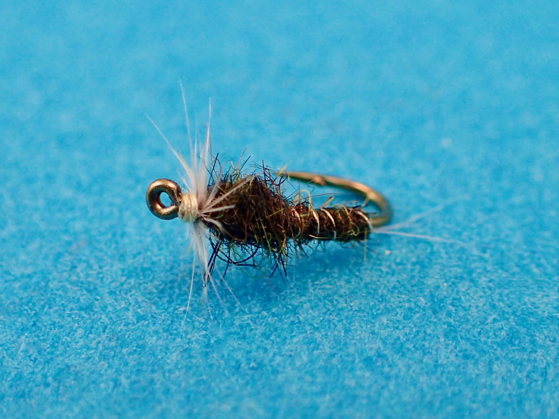 Terrestrial Flies - Check Your Flies – Tagged terrestrial– Check ...